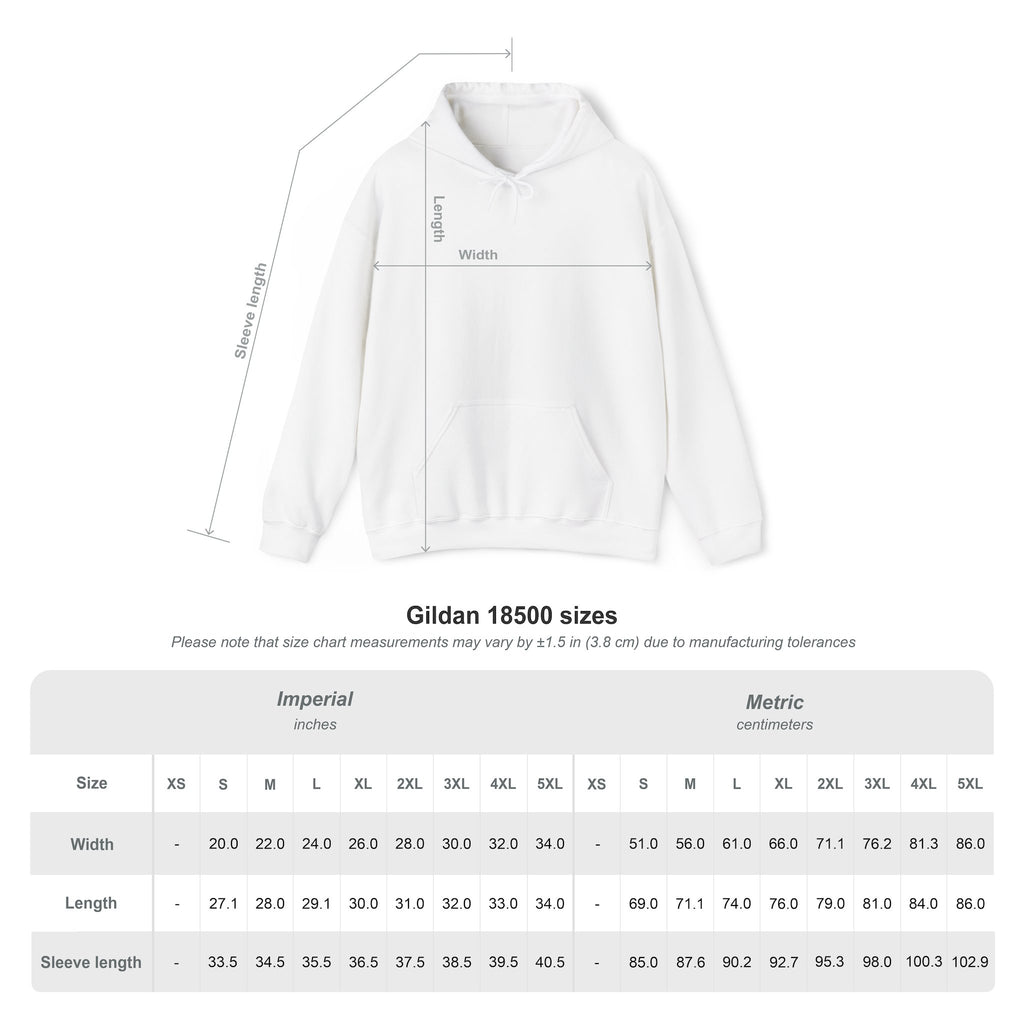 DSR 2025 Hoodie